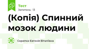 (Копія) Спинний мозок людини