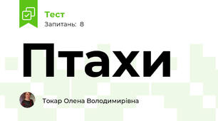 Птахи