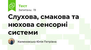 Слухова, смакова та нюхова сенсорні системи