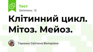 Клітинний цикл. Мітоз. Мейоз.