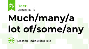 Much/many/a lot of/some/any