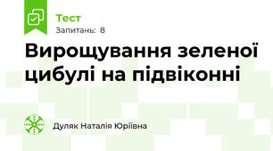 Вирощування зеленої цибулі на підвіконні