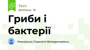 Гриби і бактерії