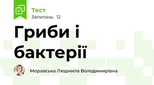 Гриби і бактерії