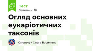 Огляд основних еукаріотичних таксонів