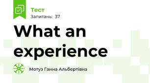 What an experience
