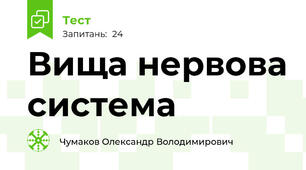 Вища нервова система