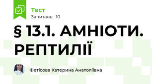 § 13.1. АМНІОТИ. РЕПТИЛІЇ