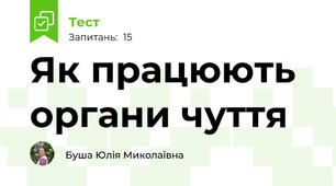 Як працюють органи чуття