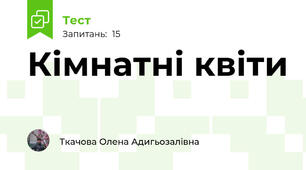 Кімнатні квіти