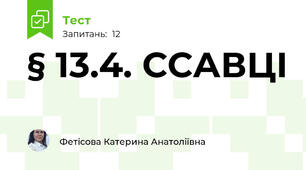 § 13.4. ССАВЦІ