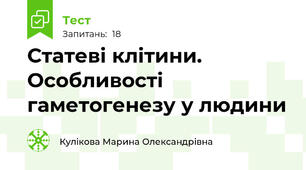  Статеві клітини. Особливості гаметогенезу у людини