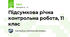 Підсумкова річна контрольна робота, 11 клас