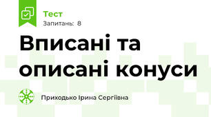 Вписані та описані конуси