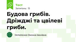 Будова грибів. Дріжджі та цвілеві гриби.