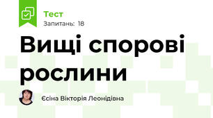 Вищі спорові рослини