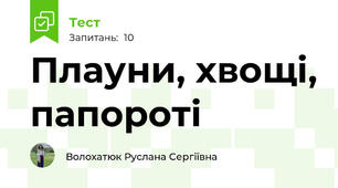 Плауни, хвощі, папороті