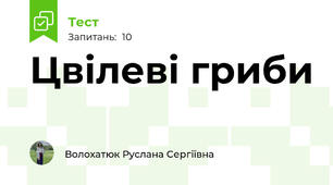 Цвілеві гриби