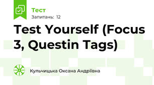 Test Yourself (Focus 3, Questin Tags)