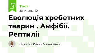 Еволюція хребетних тварин . Амфібії. Рептилії
