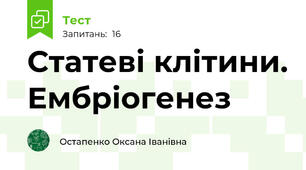 Статеві клітини. Ембріогенез