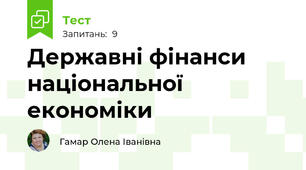 Державні фінанси національної економіки