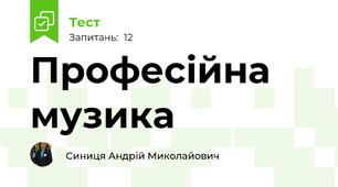 Професійна музика