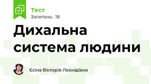 Дихальна система людини