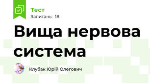Вища нервова система