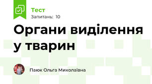 Органи виділення у тварин