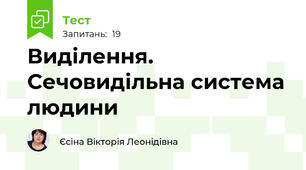 Виділення. Сечовидільна система людини