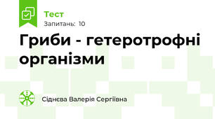 Гриби - гетеротрофні організми
