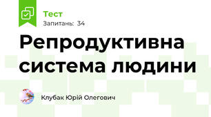 Репродуктивна система людини