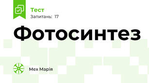 Фотосинтез