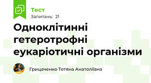 Одноклітинні гетеротрофні еукаріотичні організми