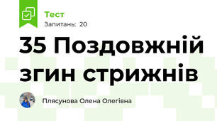 35 Поздовжній згин стрижнів