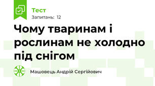 Чому тваринам і рослинам не холодно під снігом