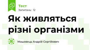Як живляться різні організми
