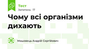 Чому всі організми дихають