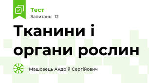 Тканини і органи рослин