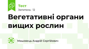 Вегетативні органи вищих рослин