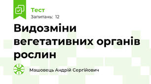 Видозміни вегетативних органів рослин