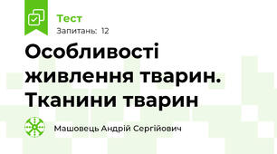 Особливості живлення тварин. Тканини тварин