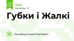 Губки і Жалкі