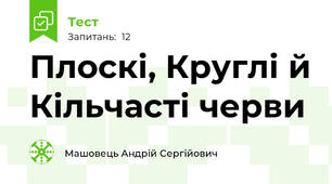 Плоскі, Круглі й Кільчасті черви