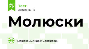 Молюски