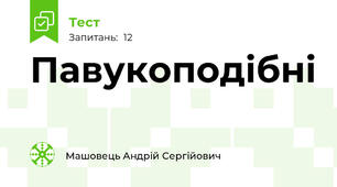 Павукоподібні