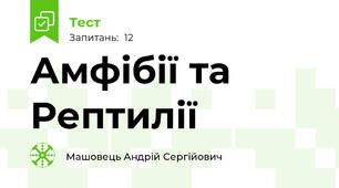 Амфібії та Рептилії