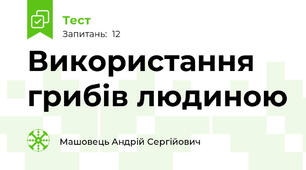 Використання грибів людиною