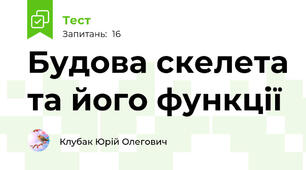 Будова скелета та його функції